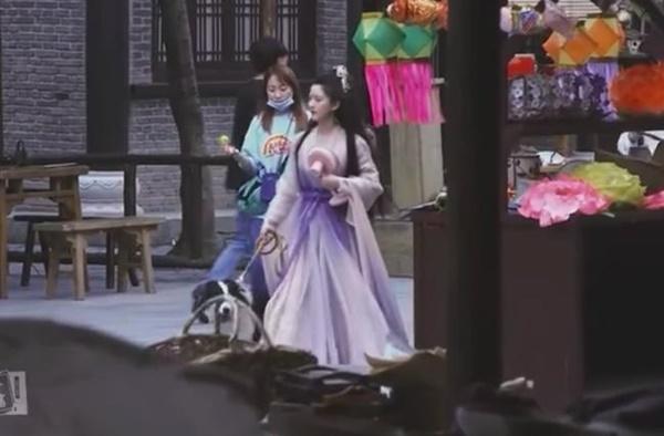 Triệu Lộ Tư dắt chó đi dạo, fan khen không ngớt nhan sắc đời thực-4