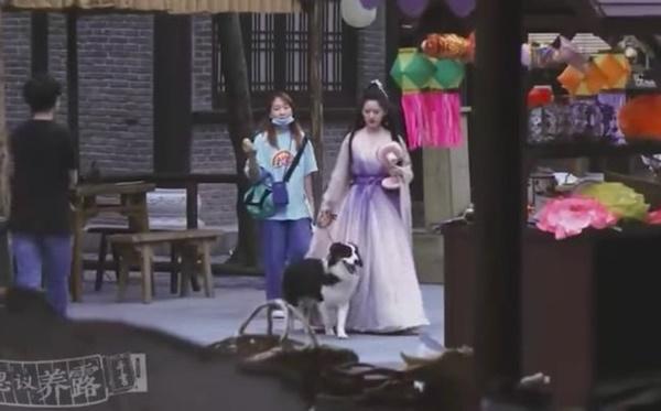 Triệu Lộ Tư dắt chó đi dạo, fan khen không ngớt nhan sắc đời thực-5