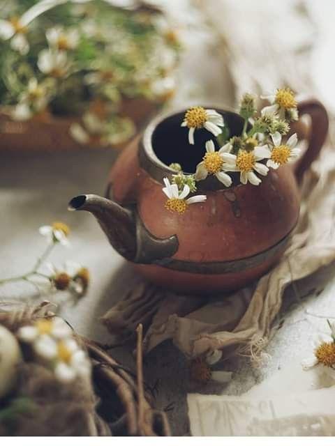 Tử vi 12 cung hoàng đạo thứ Chủ nhật ngày 1/8/2021: Xử Nữ vướng họa-3