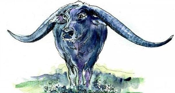 Tháng 8 gọi tên 3 con giáp giàu sang vượt bậc, tiền nhiều khỏi nghĩ-1