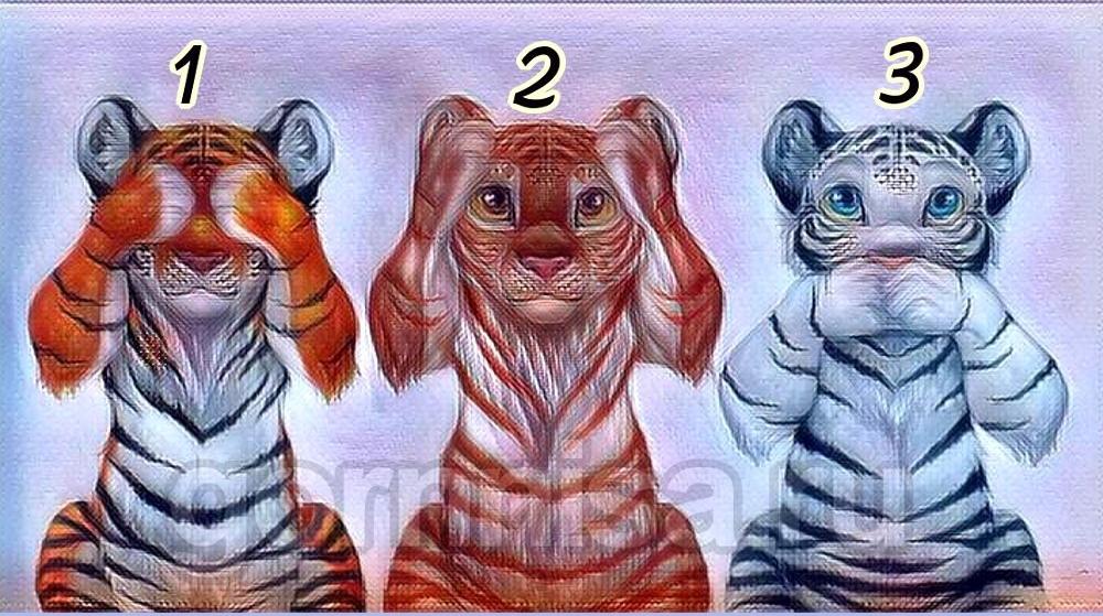 Con hổ ấn tượng nhất sẽ giúp bạn nhận diện kẻ nào đang lươn lẹo-1