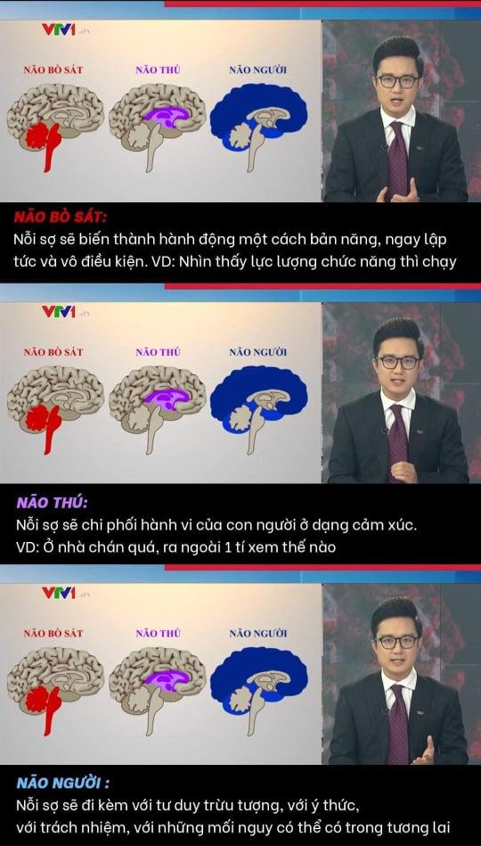 MC Trần Ngọc lửa cháy đổ thêm dầu khi VTV ví von não người, não thú-1