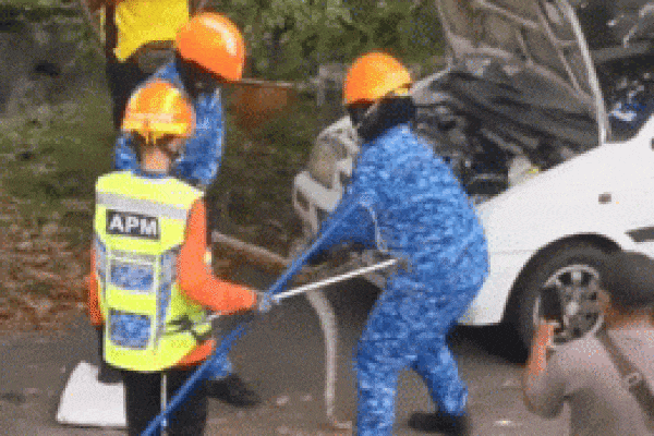 Clip: Trăn khủng bò vào nhà, trườn lên bàn thờ tấn công người-2