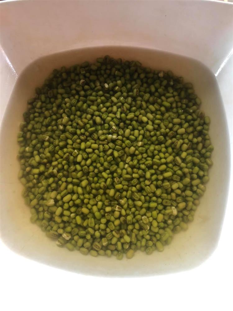 Tuyệt chiêu làm giá đỗ cho người lười chỉ bằng 1 chiếc túi lưới-2