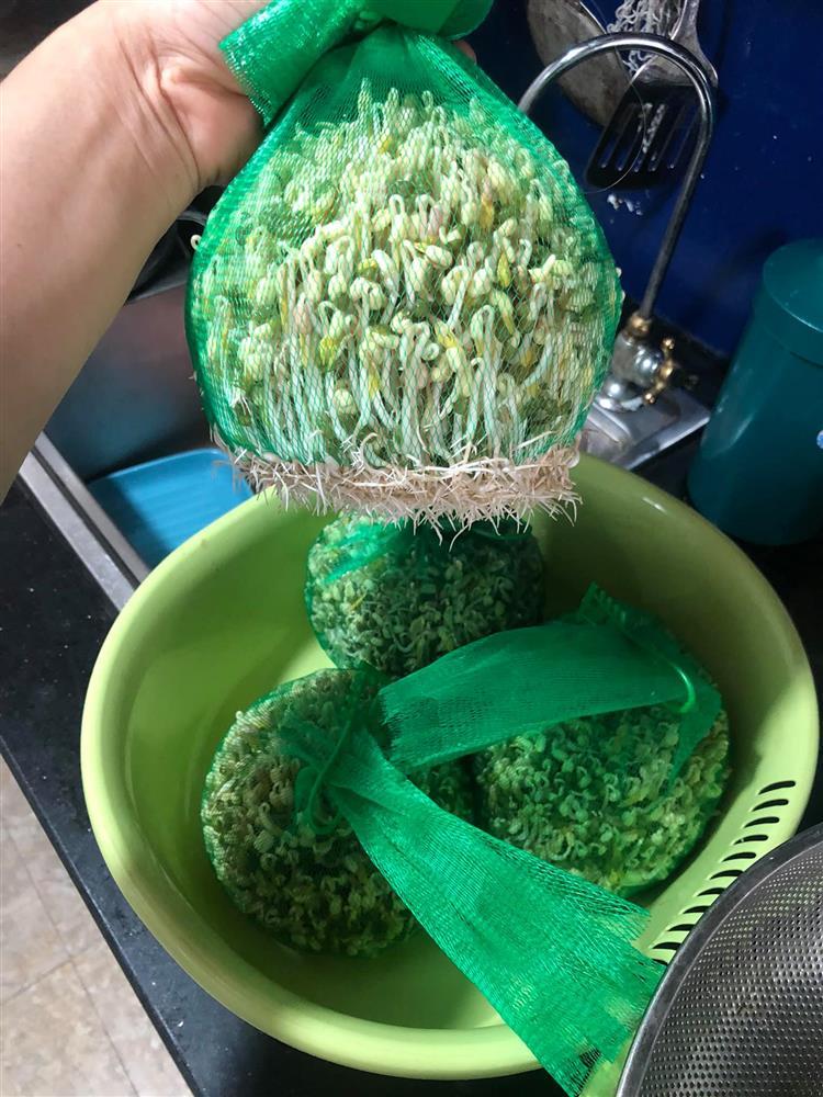 Tuyệt chiêu làm giá đỗ cho người lười chỉ bằng 1 chiếc túi lưới-5