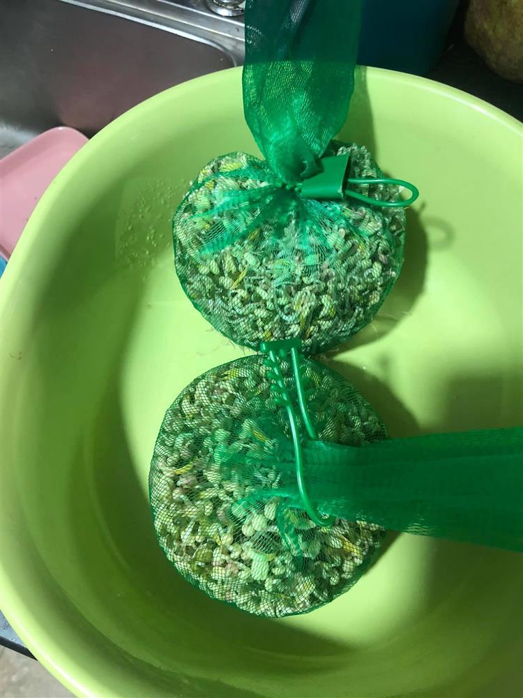 Tuyệt chiêu làm giá đỗ cho người lười chỉ bằng 1 chiếc túi lưới-6