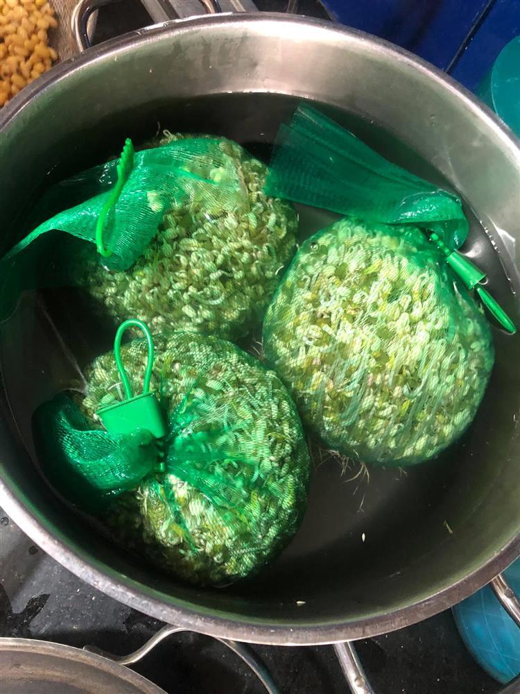 Tuyệt chiêu làm giá đỗ cho người lười chỉ bằng 1 chiếc túi lưới-4