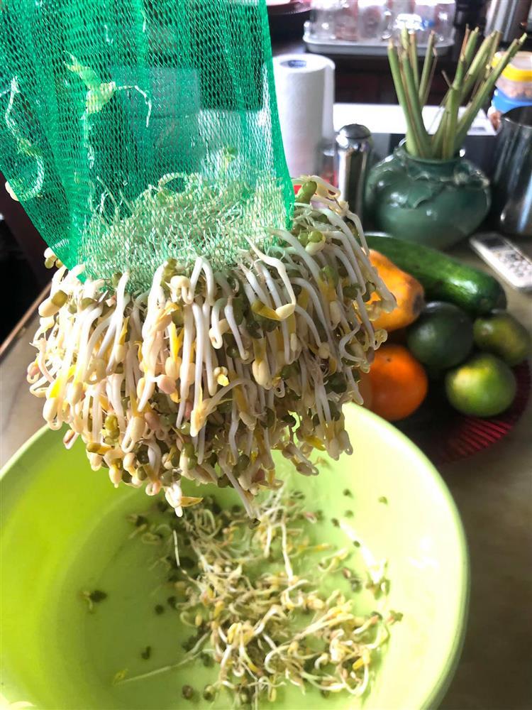 Tuyệt chiêu làm giá đỗ cho người lười chỉ bằng 1 chiếc túi lưới-8