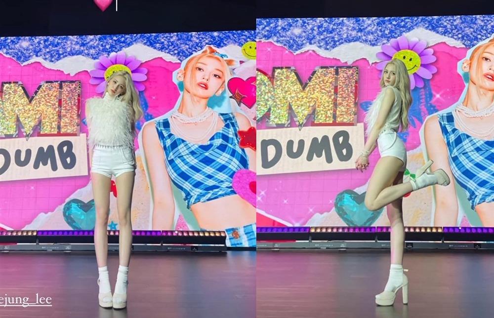 Bông hồng lai Somi đẹp cỡ nào trong ảnh không chỉnh sửa?-2