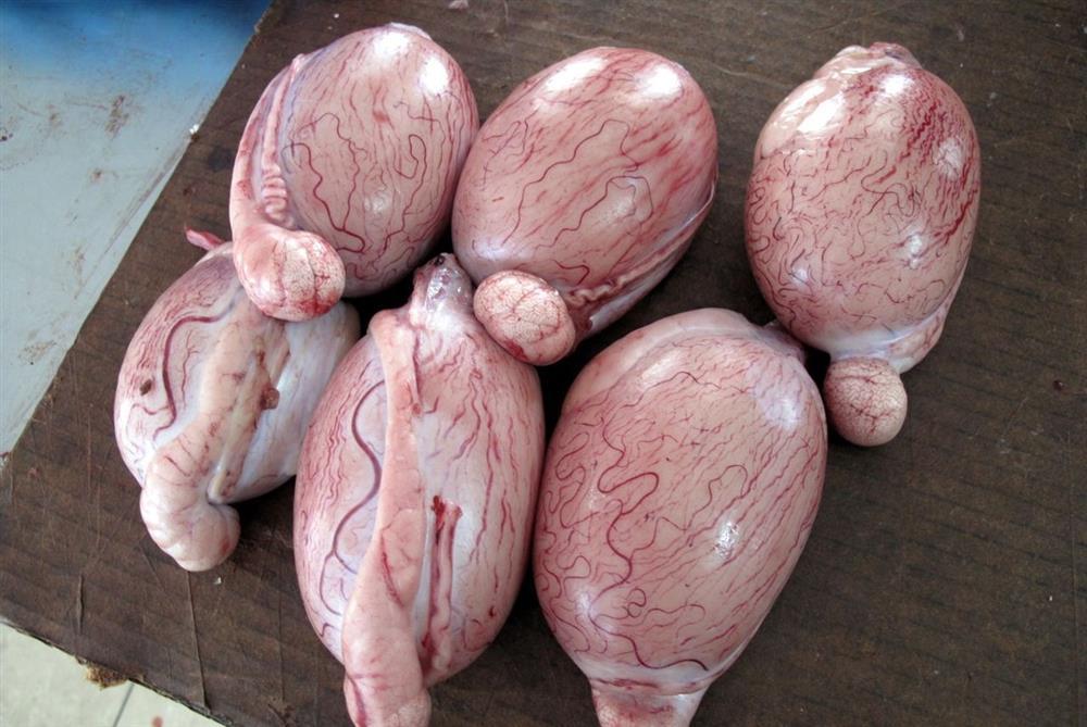 Rợn tóc gáy những món ăn mang danh tinh túy ẩm thực nước Pháp-8