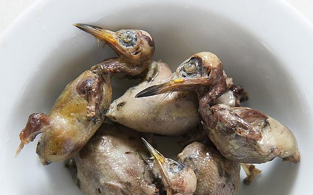 Rợn tóc gáy những món ăn mang danh tinh túy ẩm thực nước Pháp-10