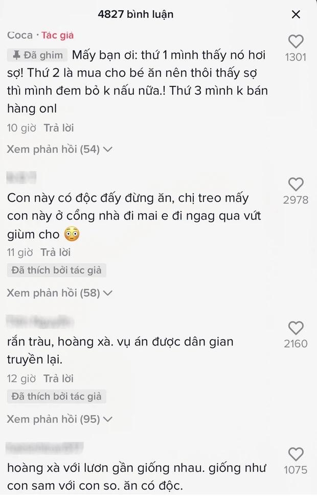 Mua lươn phát hiện chi tiết lạ, cô gái vứt đi rồi hỏi: Ăn được không?-4