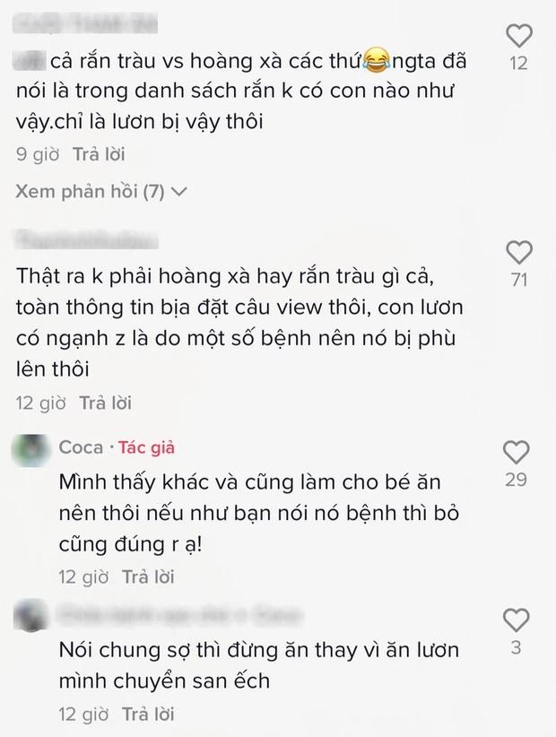 Mua lươn phát hiện chi tiết lạ, cô gái vứt đi rồi hỏi: Ăn được không?-5