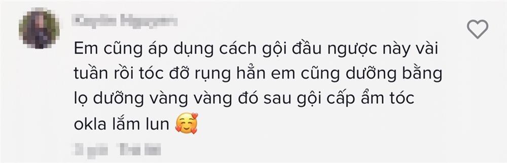 Gội đầu ngược đời: TikToker nhận kết quả bất ngờ khi xả trước, gội sau-8