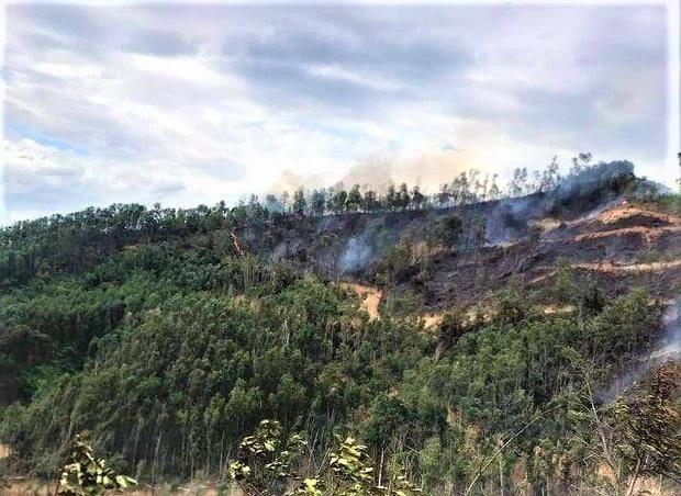 Người đàn ông tử vong thương tâm trong lúc tham gia chữa cháy rừng-1