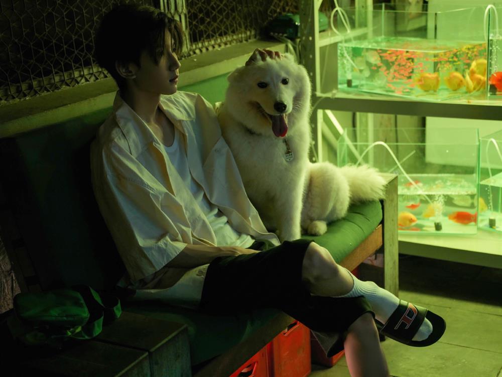 Vương Nguyên TFBOYS tung ca khúc mới, nhìn màu tóc mê chữ ê kéo dài-2