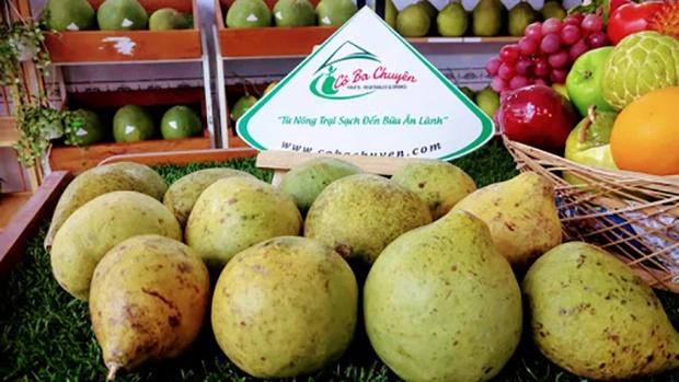 Loại quả chưng Tết đặc biệt: Thơm không kém bưởi, ăn lạ và ngon-2