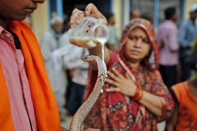 Những lễ hội kỳ quái của người Ấn Độ khiến du khách rợn tóc gáy-8