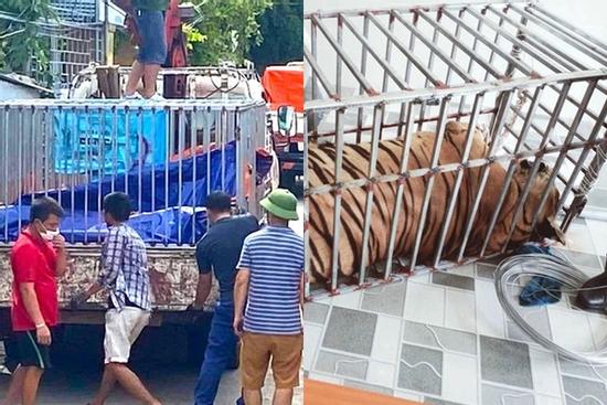 Cận cảnh chuồng trại nuôi nhốt 17 con hổ vừa bị công an triệt phá