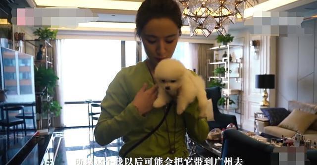 Căn hộ đắt đỏ của nữ hoàng livestream Trung Quốc-4