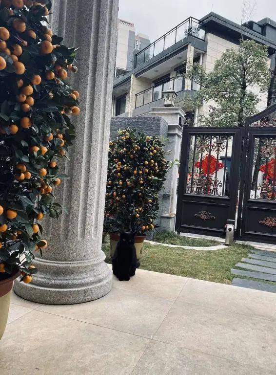 Căn hộ đắt đỏ của nữ hoàng livestream Trung Quốc-2