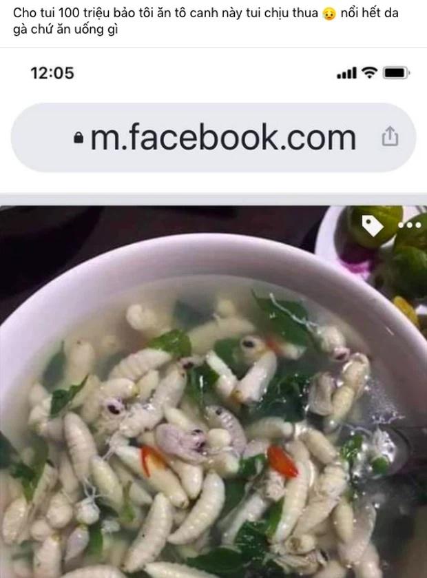 Cô gái được cho 100 triệu cũng không dám ăn món của hiếm Việt Nam-1