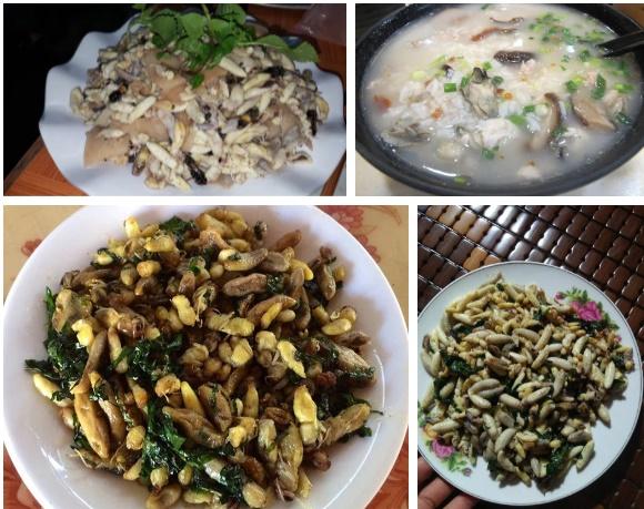 Cô gái được cho 100 triệu cũng không dám ăn món của hiếm Việt Nam-4