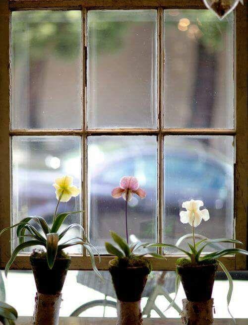 Tử vi 12 cung hoàng đạo thứ Sáu ngày 6/8/2021: Song Ngư u mê lưới tình-1