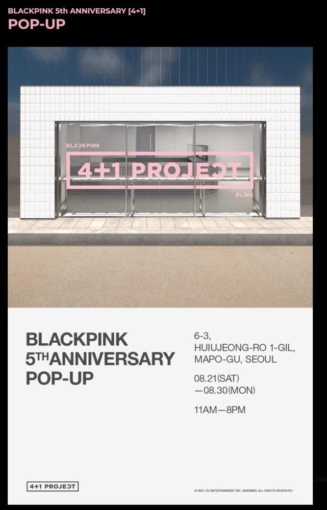 BLINKS thành chúa hề khi bị bào tiền cho dự án kỷ niệm debut của BLACKPINK-8