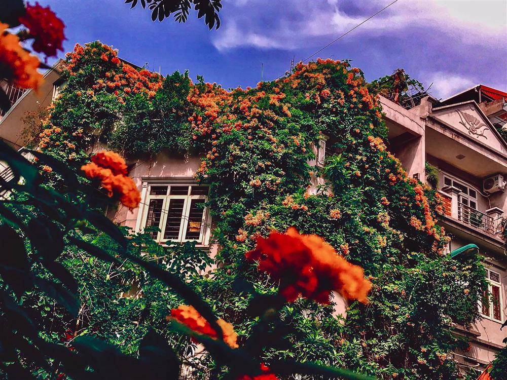 An yên giữa phồn hoa với lâu đài phủ hương của nữ thiết kế thời trang-4