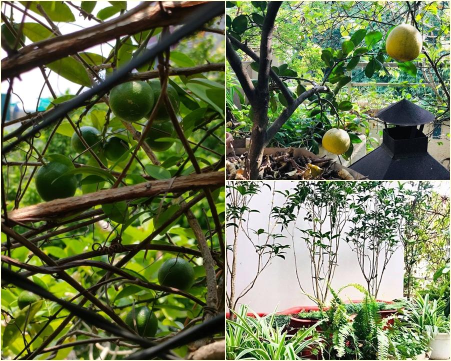 An yên giữa phồn hoa với lâu đài phủ hương của nữ thiết kế thời trang-8