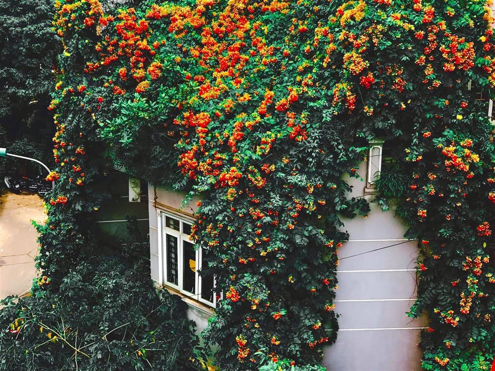 An yên giữa phồn hoa với lâu đài phủ hương của nữ thiết kế thời trang-5