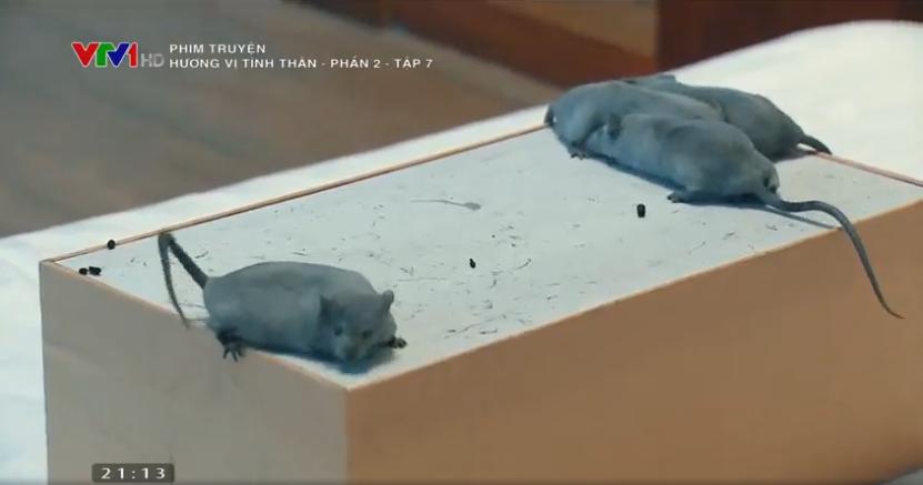 Hương Vị Tình Thân tập 7: Phi tỏ tình với Nam hãy để anh bên em-4