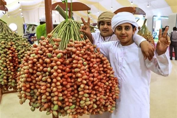 Nhà giàu săn nấm ăn chay với giá nhà nghèo không dám nghĩ-4