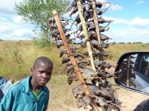 Đặc sản Châu Phi ngon hết nước chấm, dân du lịch chạy mất dép-5