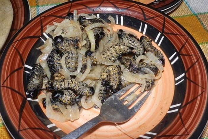 Đặc sản Châu Phi ngon hết nước chấm, dân du lịch chạy mất dép-7