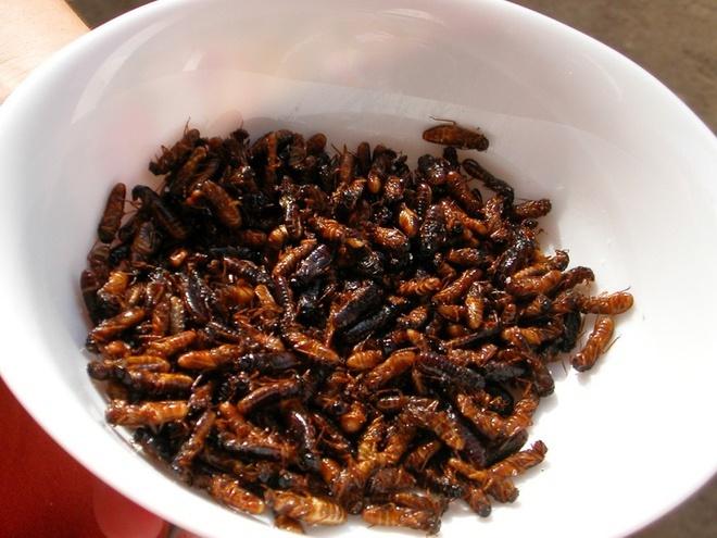 Đặc sản Châu Phi ngon hết nước chấm, dân du lịch chạy mất dép-9