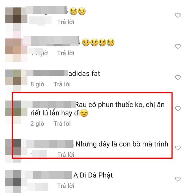 Angela Phương Trinh nói về nhân quả mà lú lẫn nhầm bò thành trâu-5