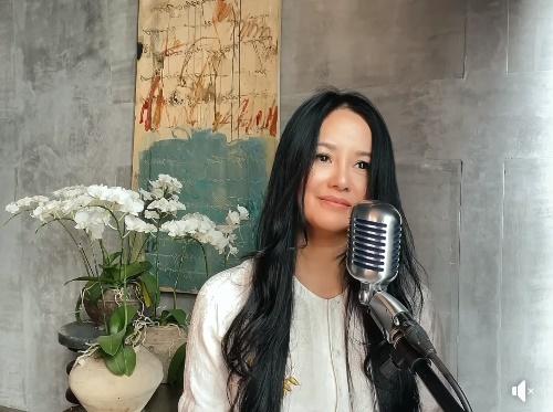 Hồng Nhung, Hà Hồ và loạt sao biến dạng vì ham app ảo-3