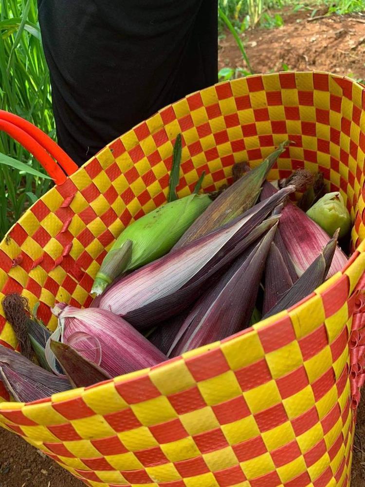 Thích thú loạt ảnh cây nhà lá vườn của bố đẻ HHen Niê-4