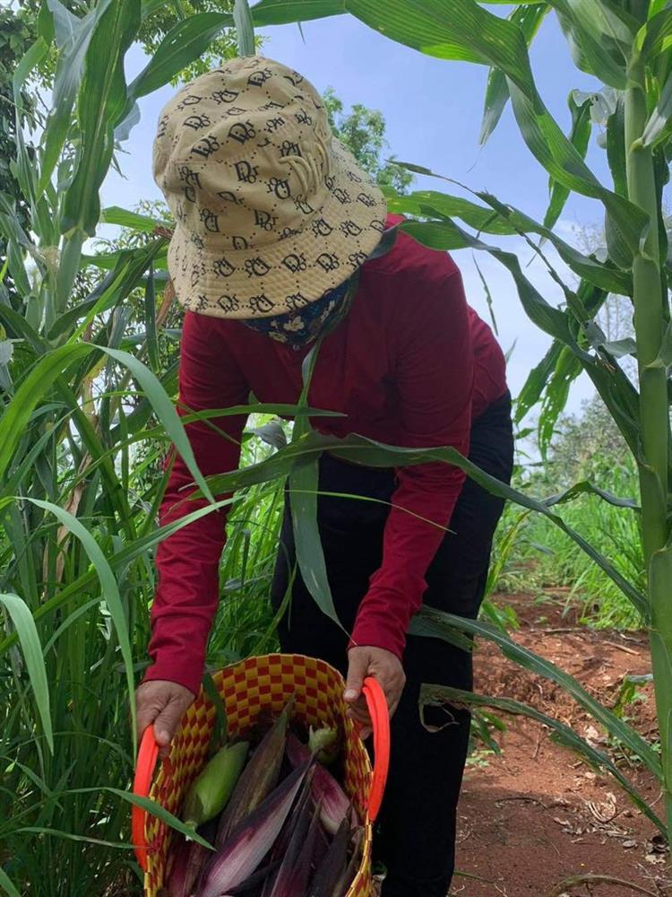 Thích thú loạt ảnh cây nhà lá vườn của bố đẻ HHen Niê-2