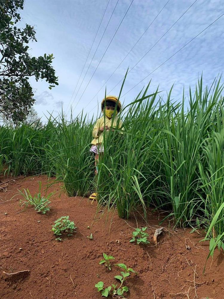 Thích thú loạt ảnh cây nhà lá vườn của bố đẻ HHen Niê-6