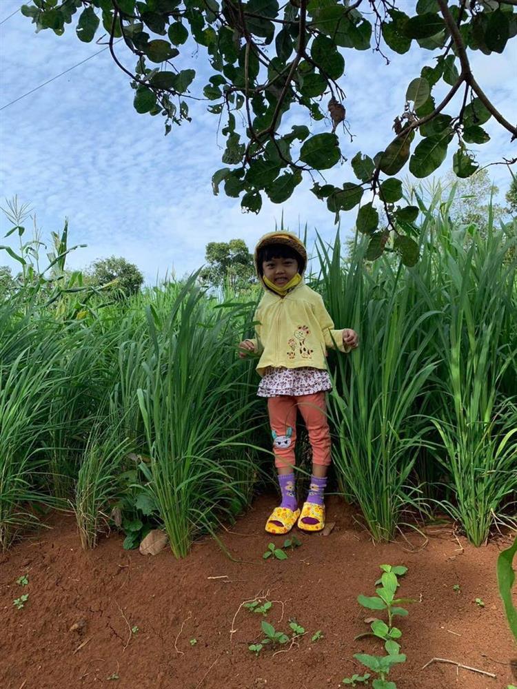 Thích thú loạt ảnh cây nhà lá vườn của bố đẻ HHen Niê-7