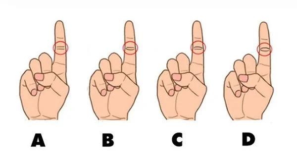 Nhìn ngón tay trỏ biết tương lai bạn thành công hay thất bại!-1