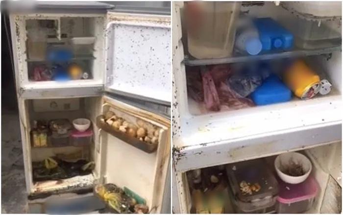 Tá hỏa tủ lạnh mốc meo, bốc mùi kinh dị vì khố chủ não cá vàng-1