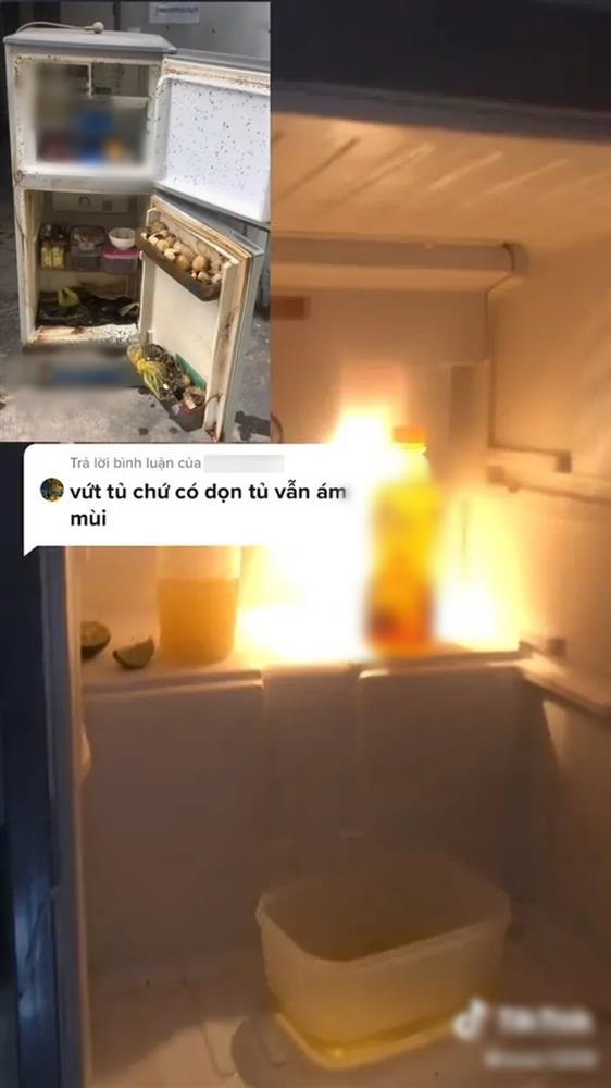Tá hỏa tủ lạnh mốc meo, bốc mùi kinh dị vì khố chủ não cá vàng-2
