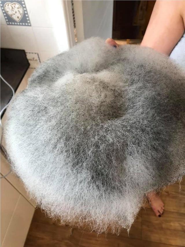 Tá hỏa tủ lạnh mốc meo, bốc mùi kinh dị vì khố chủ não cá vàng-9