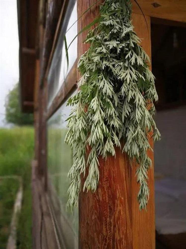 Những vật trừ tà nên mang theo người trong tháng 7 cô hồn-3