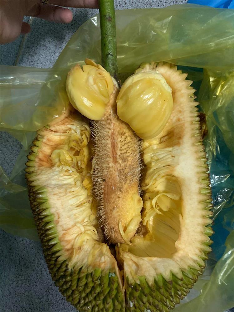 Lại 1 pha bổ mít trêu ngươi, chết ngượng vì giống y chang của quý-1