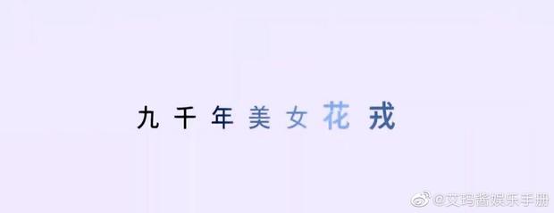 Cúc Tịnh Y bị công ty lợi dụng cực hèn hạ-3